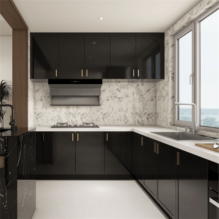 High Gloss Lacquer Kitchen Cabinets factory